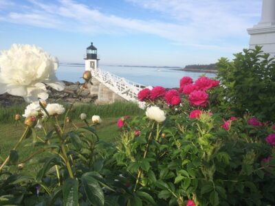 Reflections on the Change of Seasons Image